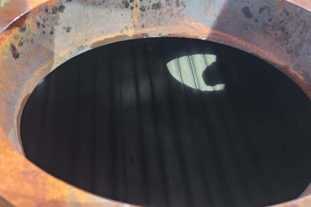 inspeccion anual reglamentaria mantenimiento caldera vapor 3