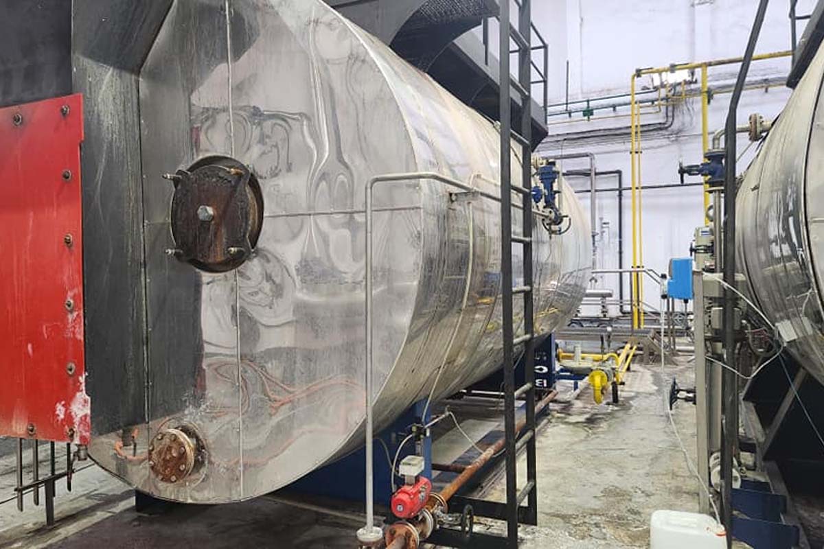 inspeccion anual reglamentaria mantenimiento caldera vapor 4