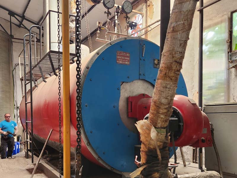 inspeccion anual calderas vapor 3