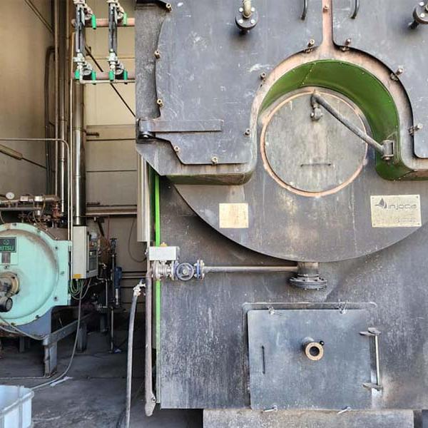Inspección reglamentaria nivel B con OCA de caldera de vapor de biomasa en Fabrica de Quesos