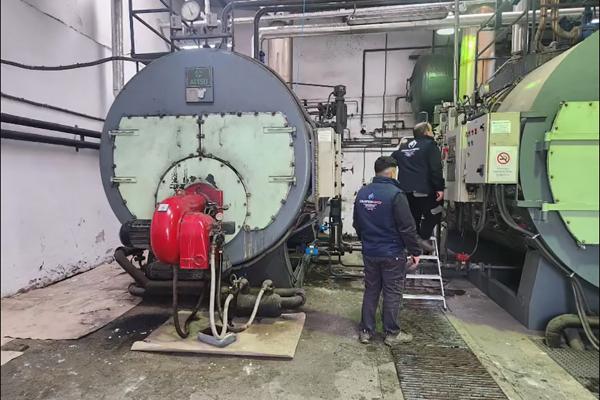 Inspección anual reglamentaria fábrica de conservas 